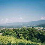 Ferienhaus Vineyard Rataj 1 *