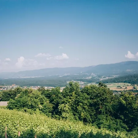 Casa vacanze Vineyard Rataj 1 *