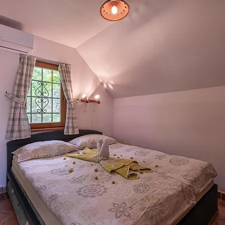 Vineyard Rataj 1 * Novo Mesto