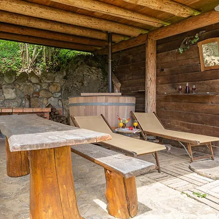 Vineyard Rataj 1 Holiday home Novo Mesto