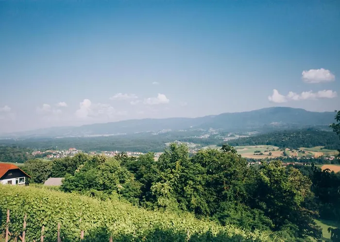 Feriehus Vineyard Rataj 1 *