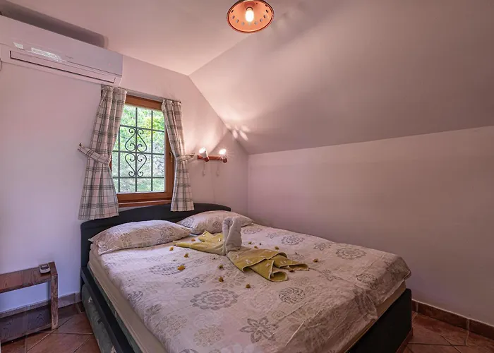 Vineyard Rataj 1 * Novo Mesto