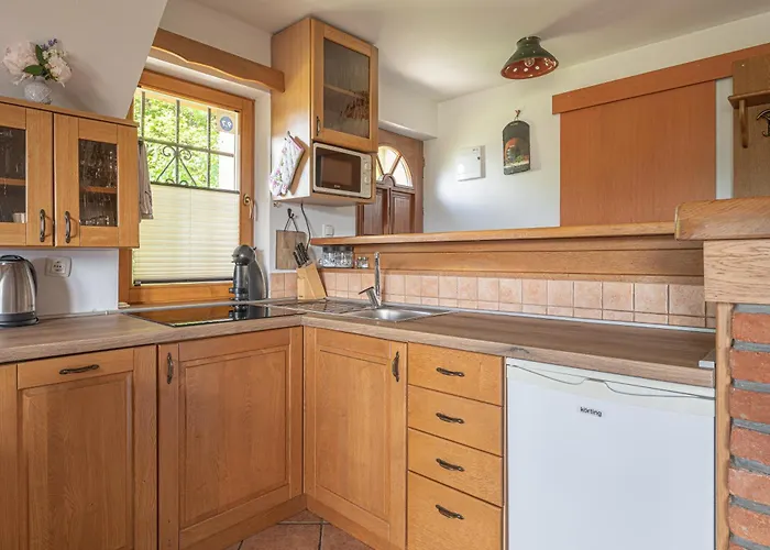 Vineyard Rataj 1 Novo Mesto