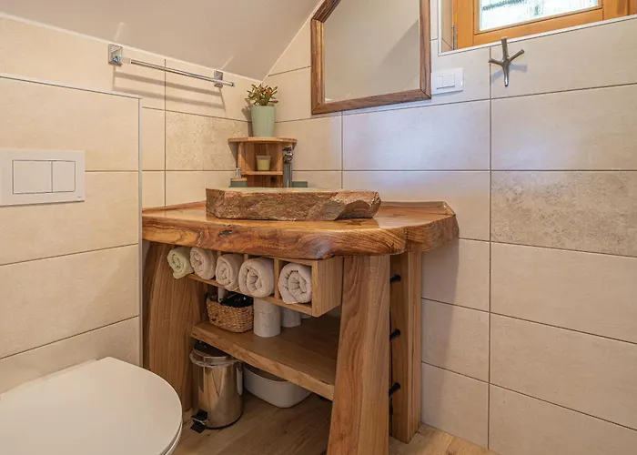 Vineyard Rataj 1 Novo Mesto